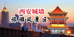 草你骚屄中国陕西-西安城墙旅游风景区